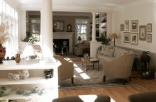 living room houseplants shelving natural light