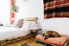 Photo of bed on shipping palette in Michael Groth's Greenpoint apartment