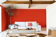 Red Wall in Living