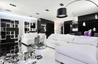 Black White Living room Decor