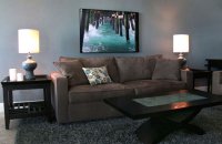 Decorating Themes for Living Rooms