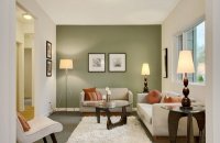 Small Living room Wall Color Ideas
